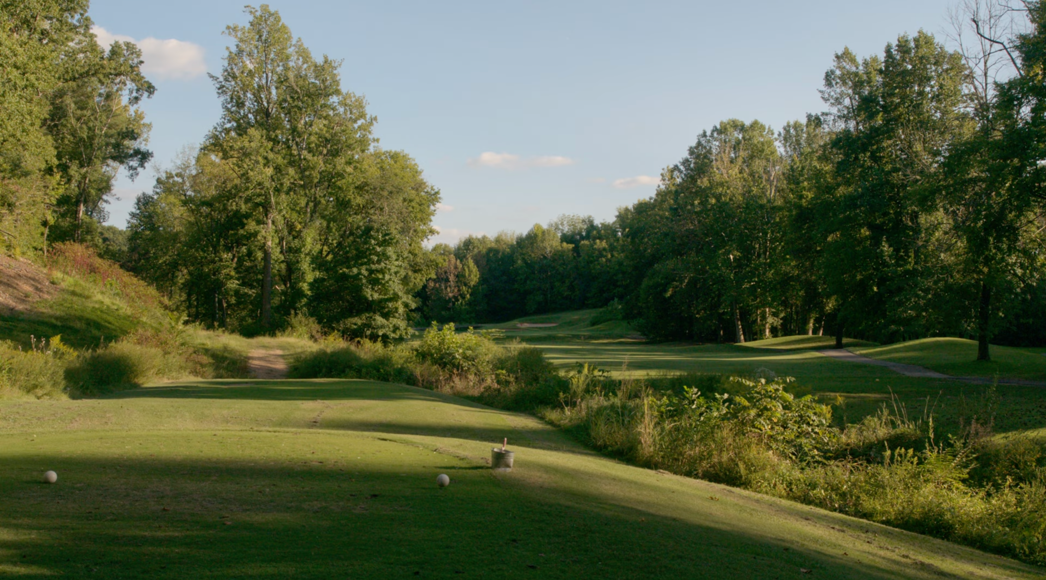 Tee box overlooking a tree-lined fairway at Sycamore Creek