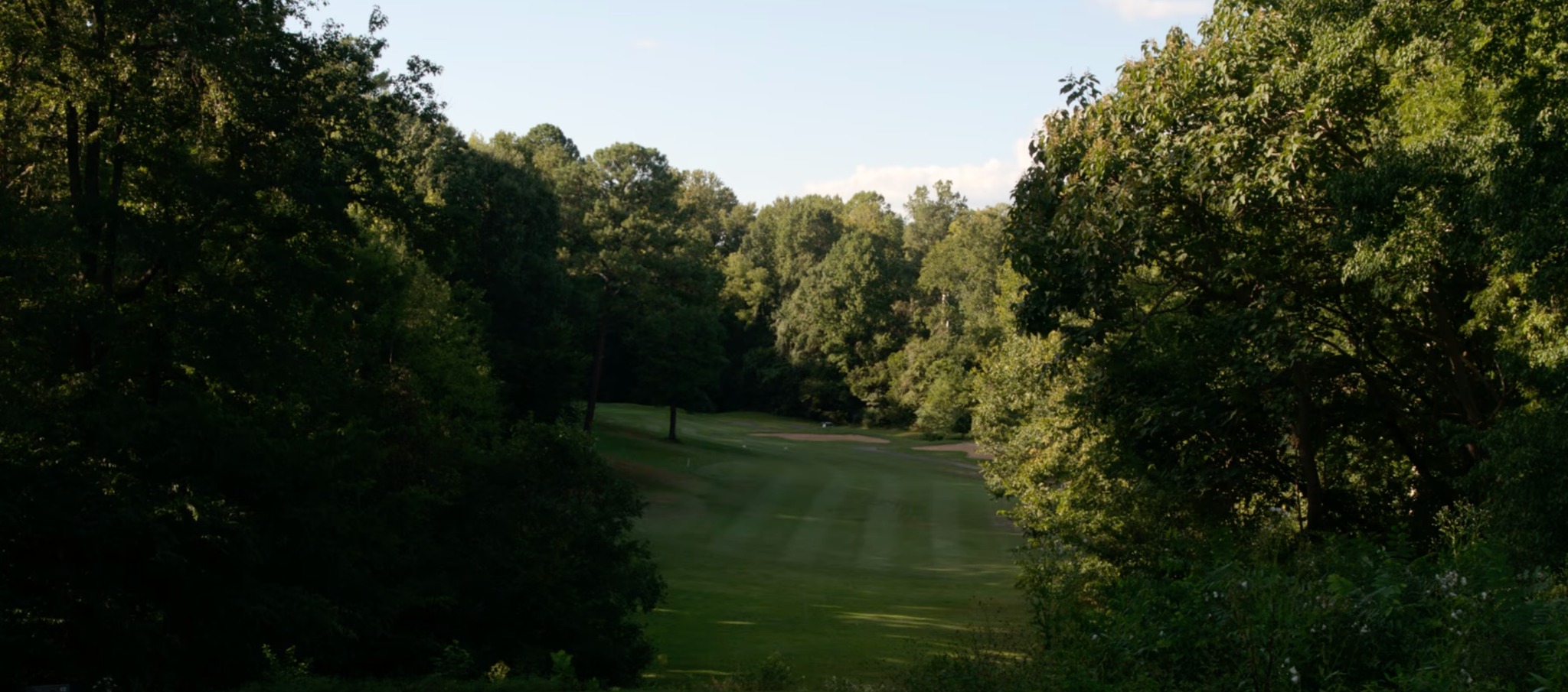 Wooded fairway at Sycamore Creek